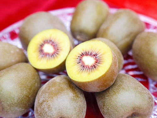 塬生就是好，消費(fèi)扶貧e起來——陜西獼猴桃探訪渭南臨渭區(qū)銷售紀(jì)實(shí)