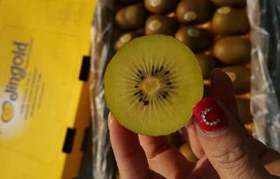 進口獼猴桃來勢洶洶，國產產業如何破局？